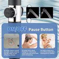 Pommeau de Douche Économiseur d'Eau Portable à Haute Pression 5 Modes avec Filtre ABS, Effet Pluie, Robinet Diverteur à Sortie Unique pour Salle de Bain
