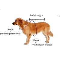 Nouvelle Collection 2025 : Laisse Réfléchissante Anti-Explosion pour Chien, Sac Banane Sportif Extensible Multifonctionnel en Nylon pour Animaux de Compagnie