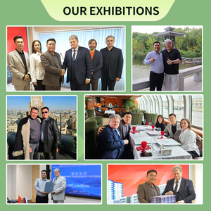 Biotina de alta calidad Vitamina B7 Vitamina <span class=keywords><strong>H</strong></span> 1% 2% D-Biotina D Biotina en polvo - Product Image 6