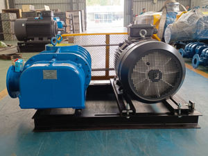 소형 공압 컨베이어 트윈 로브 뿌리 송풍기 직접 커플 링 좋은 판매 고풍력 발전소 공장 가격 에어 로터리 송풍기 - Product Image 3