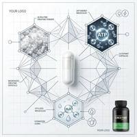 Capsules de créatine monohydrate antioxydante OEM personnalisées comme complément alimentaire pour le sport et la remise en forme, pour usage diététique adulte