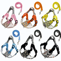 Ensemble laisse et harnais pour chien, laisse de promenade pour chien, harnais réglable pour chiot et chat, accessoires pour chiens de petite et moyenne taille