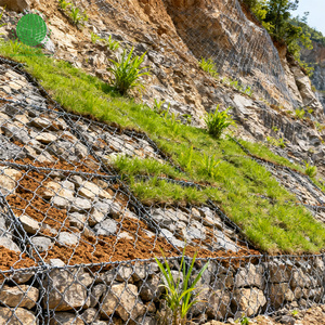 Giá tốt nhất mạ kẽm gabion giỏ bảo vệ đất gabion hộp 80*100mm gabion lục giác hộp - Product Image 1
