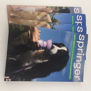 Oferta Especial: Impresión de Catálogos, Folletos y Revistas A4, A5, A6, B6 con Encuadernación Cosida y Laminación en Film, Precio Directo de Fábrica - Product Image 1