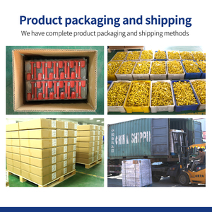 Hs Mã Khóa An Ninh Container Thép Bolt Seal TX-BS306 - Product Image 6