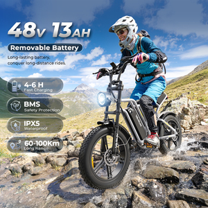 Expédition rapide dans l'UE ! Vélo électrique tout-terrain à pneus larges de 20 pouces, 250 W, autonomie de 60 km, double suspension, cadre en acier au carbone, en stock en Europe - Product Image 4