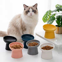 Bol surélevé en céramique pour chats et chiens, anti-renversement, protection du cou, faible MOQ, en stock