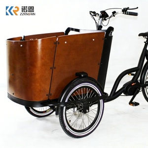 Triciclo Eléctrico Familiar con Caja de Pasajeros de Madera, Motor de 250W de Tracción Media, Transporte Seguro para Niños, para Desplazamientos Urbanos en Europa - Product Image 5