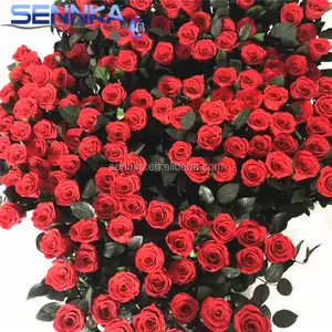 Grosir Hadiah Kelulusan Alami Segar Bunga Batang Panjang Diawetkan 5-6Cm Mawar Merah Di Kotak PVC