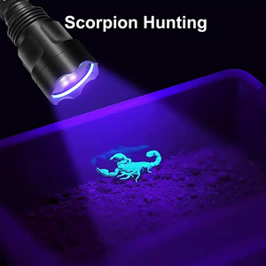 Lampe torche C8 haute luminosité 365nm 395nm lampe de poche UV pour vérifier l'argent vérifier la <span class=keywords><strong>chasse</strong></span> à l'urine des animaux de compagnie - Product Image 3