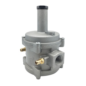 Nouveau régulateur de pression du filtre à gaz naturel en fonte d'aluminium pour chaudière - Product Image 3