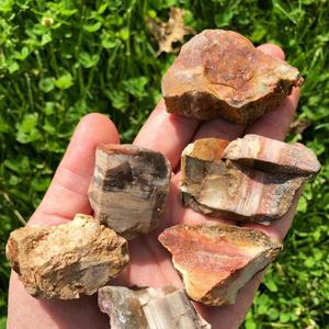 Vente en gros de bois pétrifié naturel brut, pierre fossile, cristal brut pour la décoration intérieure et la lithothérapie - Product Image 4