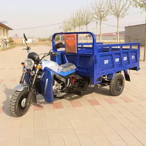 2024 China Hot Sale 150cc 200cc 3 Wheel Tricycle Motorized Tuk Tuk Motorcycle Cargo Tricycle