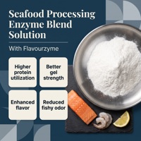 Solution enzymatique de qualité alimentaire pour la transformation des produits de la mer avec Flavourzyme pour l'amélioration de l'umami et la désodorisation – Services OEM