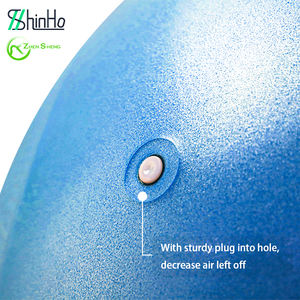 Zhensheng Venta caliente Nuevo diseño Ecológico Yoga Ball 55CM 65CM 75CM Swiss Ball Anti Burst <span class=keywords><strong>Pilates</strong></span> Balls con bomba - Product Image 4