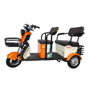 800W/1000W 48V Power Middle-Aged Elderly People's Mobility Three-Wheeled Open Body Electric Tricycle with Motorized Driving