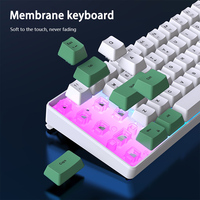 PCTENK K701 لوحة مفاتيح ألعاب سلكية 68 مفتاح غشائية RGB LED للكمبيوتر المحمول USB-C OEM مقاومة للظلال (Anti-Ghosting) توصيل وتشغيل (Plug&Play) مخصصة صغيرة