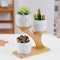 Jolies jardinières en céramique émaillée en forme de hibou et de patte de chat pour plantes succulentes, avec support minimaliste à 3 niveaux en bambou pour la maison, le bureau et le jardin
