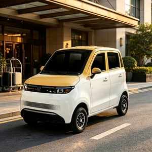 Oferta Especial: Vehículo Eléctrico Compacto de 4 Ruedas, Microcoche Eléctrico de Nueva Energía, Económico, para Ciudad, para Adultos - Product Image 1