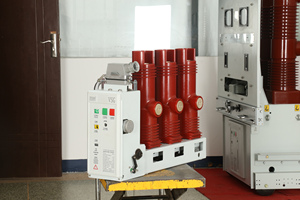 שוברי מעגל ואקום איכות טובה vs1 12kv מתח בינוני מקורה vcb - Product Image 6