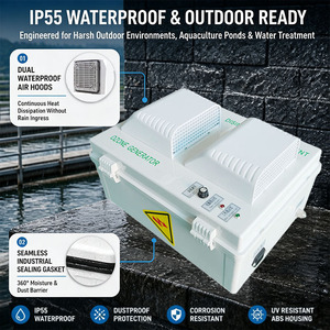 Ozonmaschine 10g/h Ozongenerator IP55 Wasserdichter Ozon-Wasserreiniger für Außen-Spa, Fischteich und Schwimmbad - Product Image 4