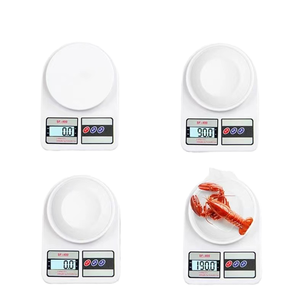 SF400 5kg <b>Bench</b> Scale Plastic LCD Screen Kitchen Scale with OEM/ODM Customization - Product Image 1
