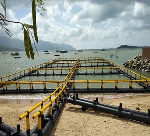 Cages flottantes pour pisciculture, ponton - Product Image 4
