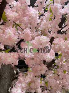 Fleurs de cerisier artificielles <span class=keywords><strong>en</strong></span> fibre de verre décoratives d'intérieur-<span class=keywords><strong>Fleur</strong></span> simulée de type arbre pour décoration d'intérieur - Product Image 3