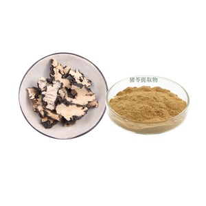 Порошок экстракта агарика, 20:1 полисахариды 30%-50% Polyporus umbellatus (перс.) Экстракт картофеля фри