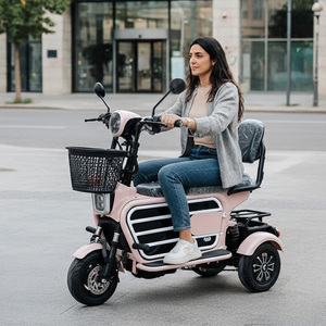 Tricicli Elettrici Piccoli Holladay <span class=keywords><strong>per</strong></span> Adulti Genitore-Figlio Scooter Elettrico da Città <span class=keywords><strong>Biciclette</strong></span> Urbane Mini Pet Scooter <span class=keywords><strong>per</strong></span> Passeggiate con Cani - Product Image 2