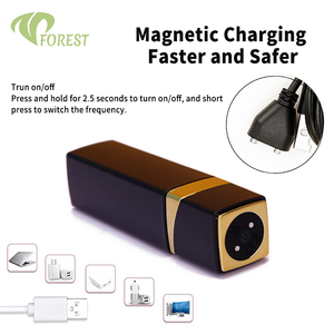 TT Forest Draagbare Magnetische Oplaadbare 10-Snelheden Afstandsbediening Draadloze Vibrerende Ei Flirt Mini Vibrator Massage Vaginale Seks Product - Product Image 3
