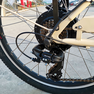 Vélo cargo familial électrique à 3 roues, normes européennes, tricycle cargo/passager CE, vélo à 3 roues avec boîte de transport - Product Image 6