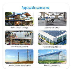 Inversor de Alta Frecuencia <span class=keywords><strong>Suoer</strong></span> de 110V Monofásico, Inversor de Carga Solar Híbrido de 110/220 Vac, 12kw - Product Image 6