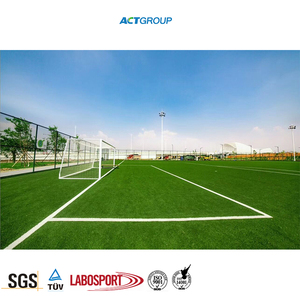Césped Artificial Sintético, <span class=keywords><strong>Alfombra</strong></span> de Césped Artificial, Tapete de <span class=keywords><strong>Semillas</strong></span> de Césped Artificial, Césped Artificial para Fútbol - Product Image 5