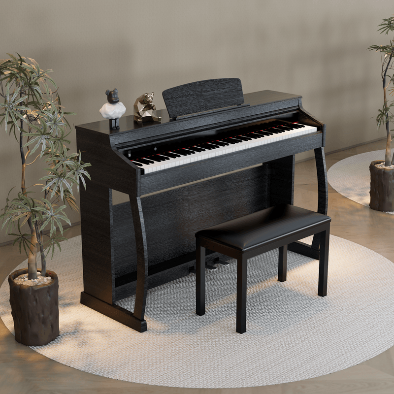 เก้าอี้คู่สีดำ