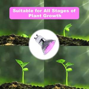 Lampadina LED per Coltivazione Antela 3.5W 200LM Spettro Completo Dimmerabile Angolo di Illuminazione 20 Gradi Durata 25000 Ore per Piante da Interno E27 - Product Image 2