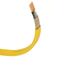 Câble de construction NM-B (NM-90) 300V 90°C en cuivre isolé PVC, indice de protection IP67, basse tension, 2/3/4 conducteurs pour câblage résidentiel