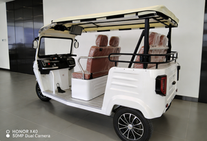 <span class=keywords><strong>Taxi</strong></span> public au meilleur <span class=keywords><strong>prix</strong></span> pour le tourisme, tricycle certifié UE, TUKTUK E Trike - Product Image 4