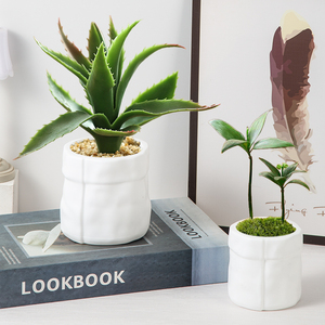 Maceta <span class=keywords><strong>de</strong></span> Plástico PP Yicai, Duradera, Ecológica, Diseño Moderno, Pared Gruesa, Portaplumas, para Hogar y Jardín - Product Image 4