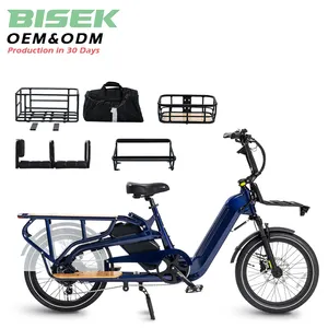 ODM 750W 2 pil elektrik kargo bisiklet 20 inç yağ lastik kargo elektrikli bisiklet aile çocuk teslimat için
