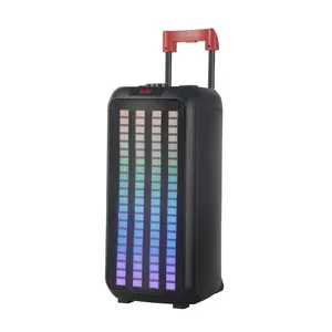 NDR 2*10 дюймов RGB свет 50 Вт беспроводной микрофон караоке динамик тележка Bluetooth DJ наружные колонки для вечеринок