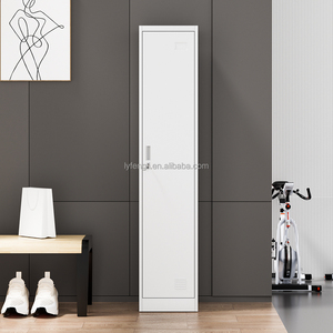 Customized <b>Single</b> Door Steel <b>Wardrobe</b> Locker for Bedroom Gym School Hospital Use <b>with</b> <b>Mirror</b> Key Lock - Product Image 2