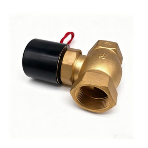 Vanne solénoïde Bouri Us Series 2 voies filetée AC220V DC24V pour le contrôle de l'eau, du gaz et de l'huile - Product Image 1