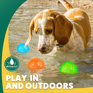 Jouets interactifs de luxe pour chiens, jouets en caoutchouc respectueux de l'environnement qui couinent pour les chiens - Product Image 4