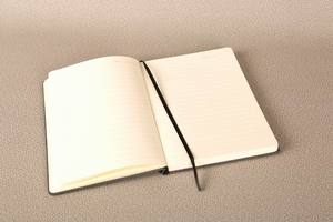 A5 rosso 2023 copertina in pelle pu blocco note punteggiato rivestito in bianco <span class=keywords><strong>notebook</strong></span> prezzo di fabbrica 100 fogli - Product Image 5