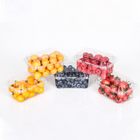 Boîte d'emballage alimentaire en plastique transparent PET pour fraises, 250g, jetable, avec couvercle articulé, qualité alimentaire, personnalisable, vente en gros