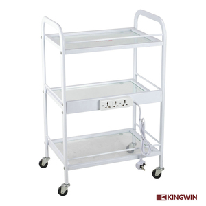 Kingwin logam padat kecantikan wajah Salon rambut tata rambut troli gratis sampel furnitur Salon putih Modern hal sekolah - Product Image 5