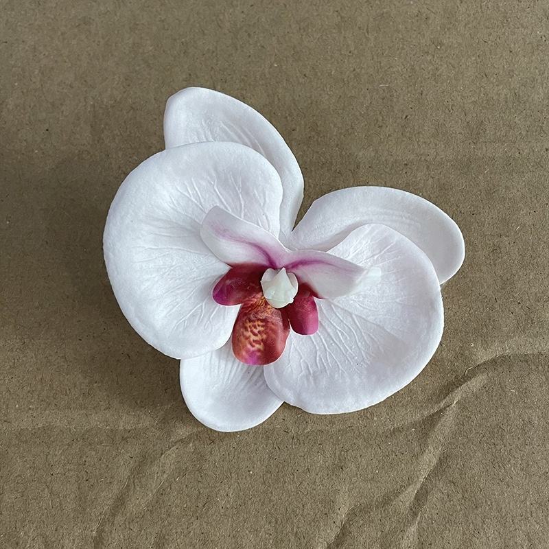 แกนสีชมพูอ่อน