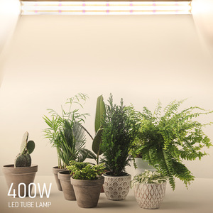 Tube lumineux intégré MEIJIU pour la croissance des plantes, design T8, <span class=keywords><strong>lampe</strong></span> <span class=keywords><strong>de</strong></span> <span class=keywords><strong>culture</strong></span> pour <span class=keywords><strong>semis</strong></span>, lumière LED supplémentaire pour légumes à feuilles - Product Image 4