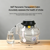Couveuse portable Parrot Zero-day pour l'élevage manuel des poussins, contrôle de la température et de l'humidité, 3 niveaux de puissance universels